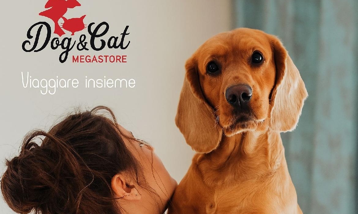 Primo volo in Italia con cani di taglia grande in cabina: una svolta storica