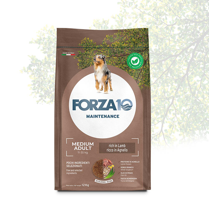 FORZA10 12KG MEDIUM ADULT AGNELLORISO