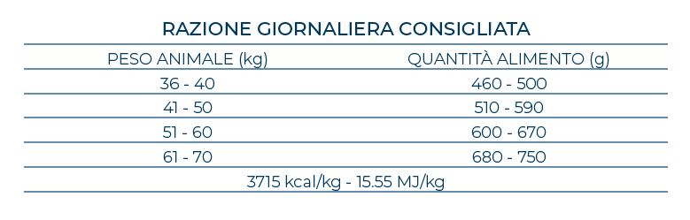 FORZA10 12KG MAXI ADULT PESCE