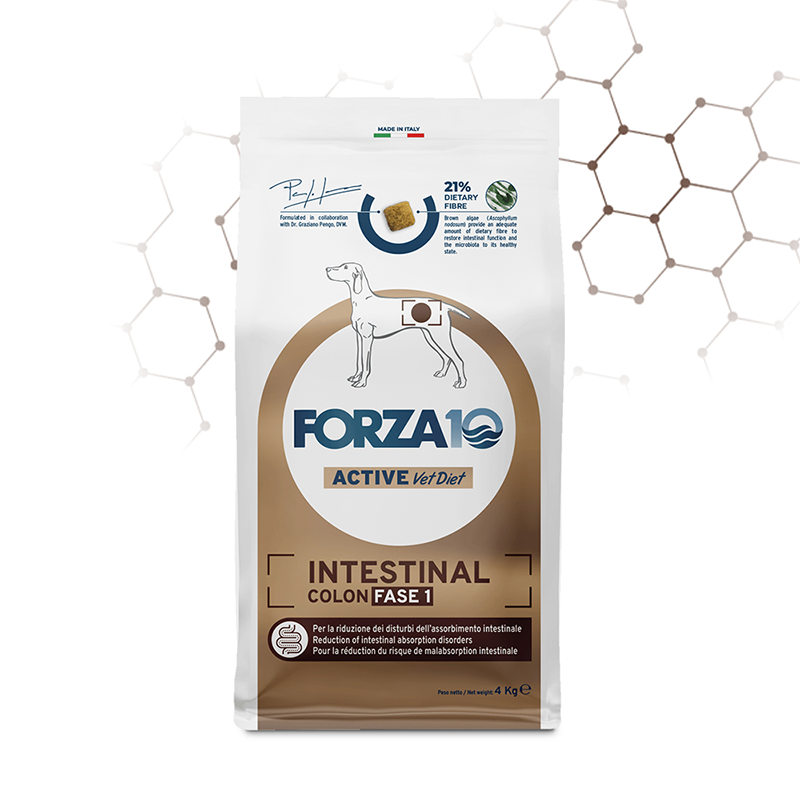 Forza10 active 10kg intestinal colon fase i 