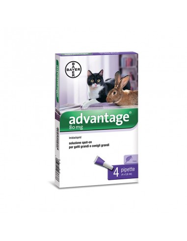 Advantage 80 oltre 4kg 4 pipette