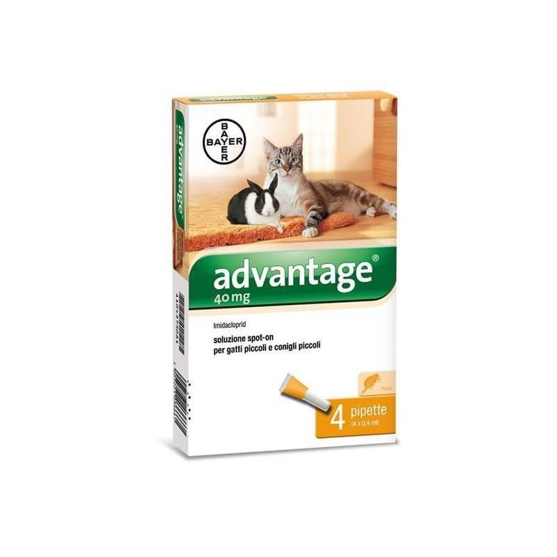 Advantage 40 fino a 4kg 4 pipette
