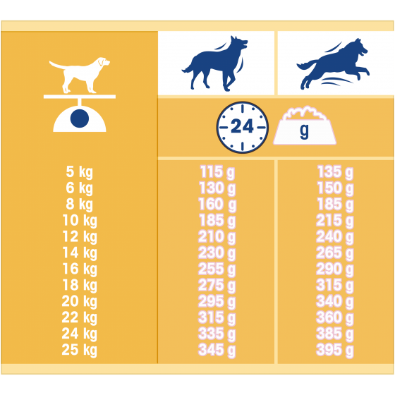 TONUS DOG CHOW 10KG CLASSIC POLLO