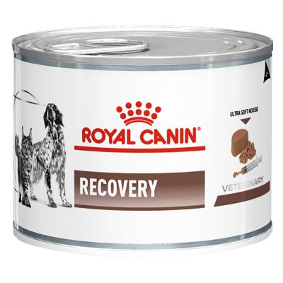 Royal canin vet lattina 195g recovery 