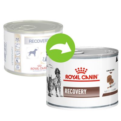 Royal canin vet lattina 195g recovery 