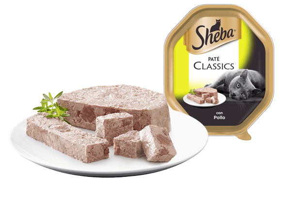 SHEBA VASCHETTA 85G PATE POLLO 
