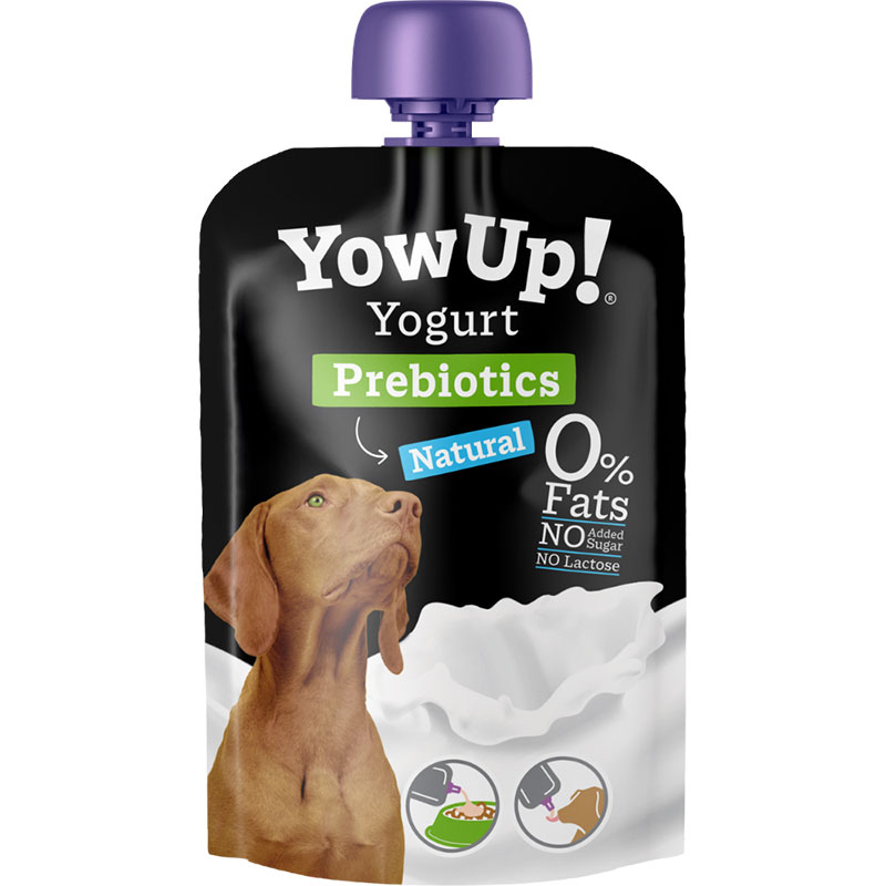 YOWUP CANE YOGURT 115G PROBIOTICS