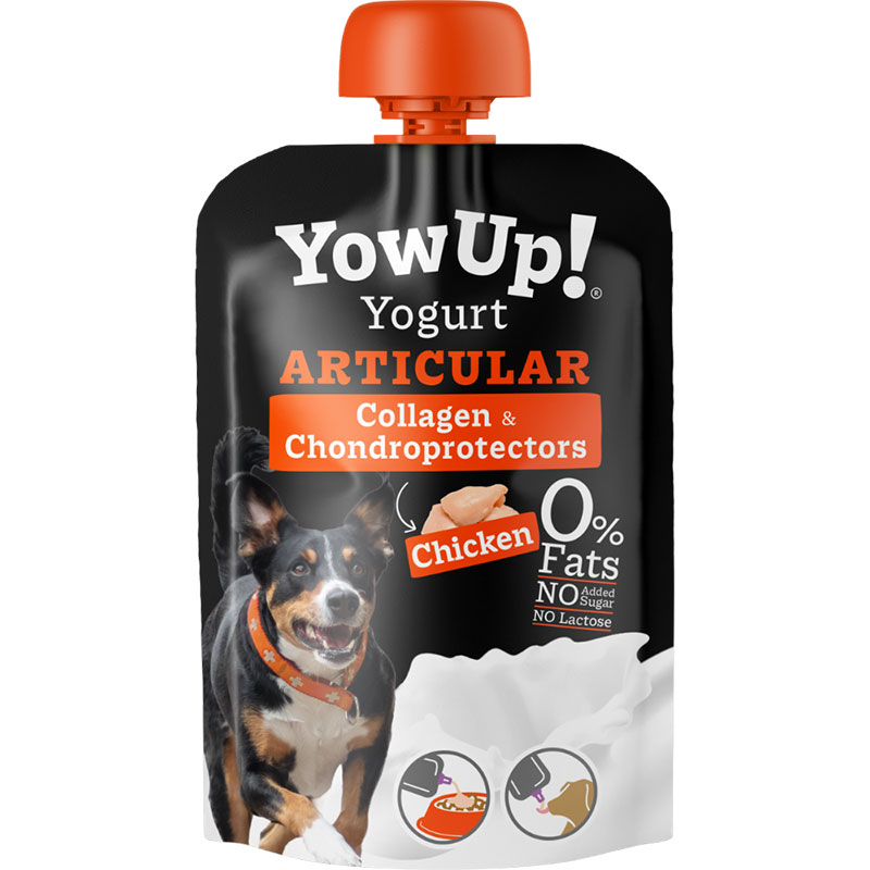 YOWUP CANE YOGURT 115G ARTICULAR