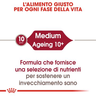 Royal canin bustina 140g medium ageing 10