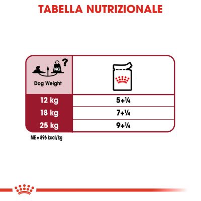 Royal canin bustina 140g medium ageing 10