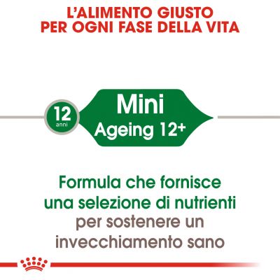 ROYAL CANIN BUSTINA 85G MINI AGEING 12