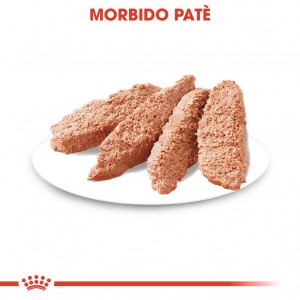 ROYAL CANIN BUSTINA 85G MINI LIGHT CARE