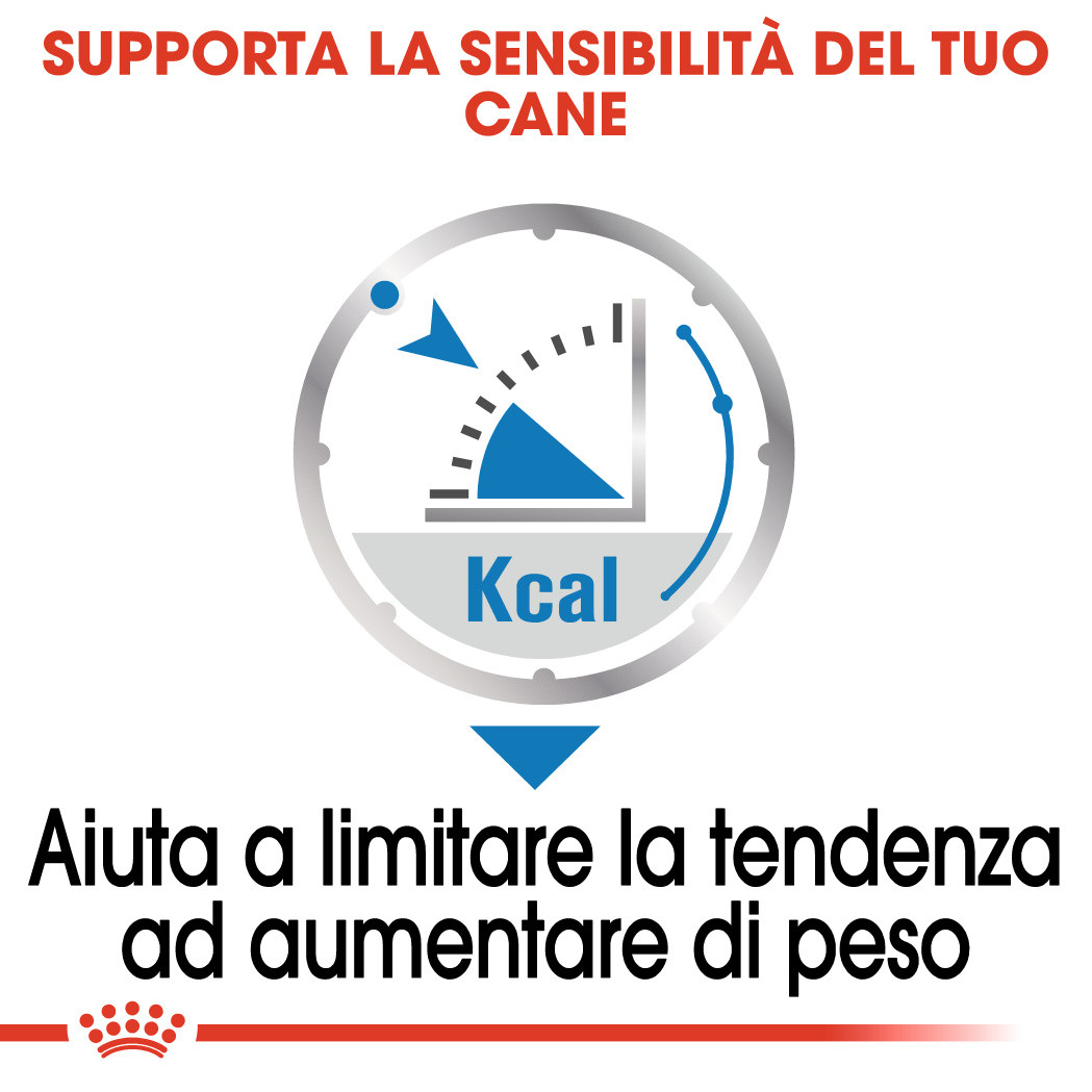 ROYAL CANIN BUSTINA 85G MINI LIGHT CARE