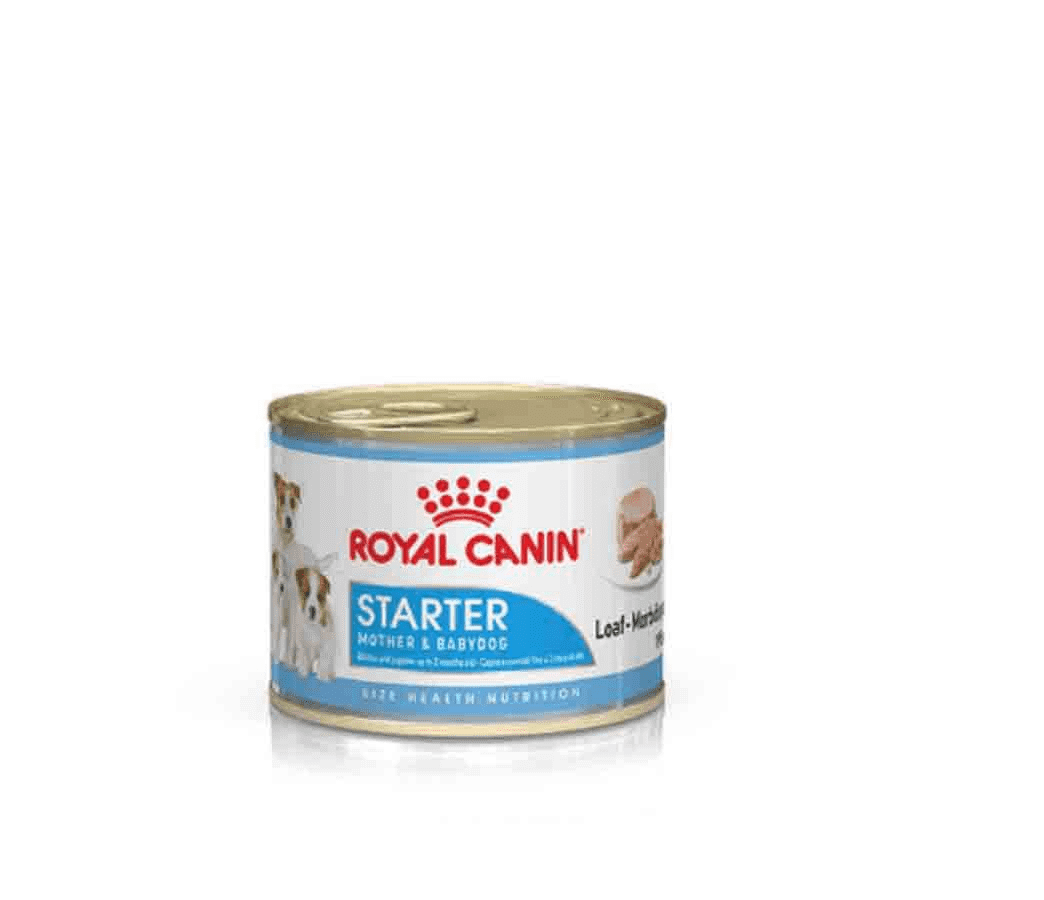 ROYAL CANIN LATTINA 195G STARTER MOUSSE 