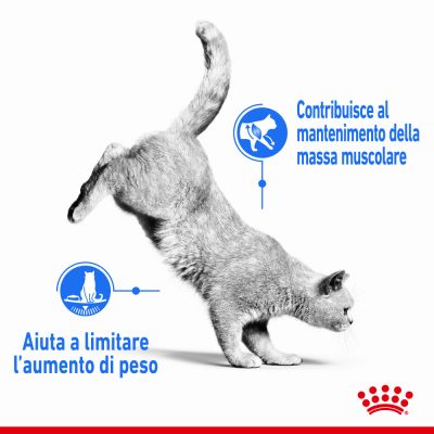 Royal canin cat bustina 85g jelly ultra light 