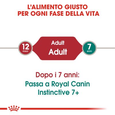 Royal canin cat bustina 85g jelly instinctive 