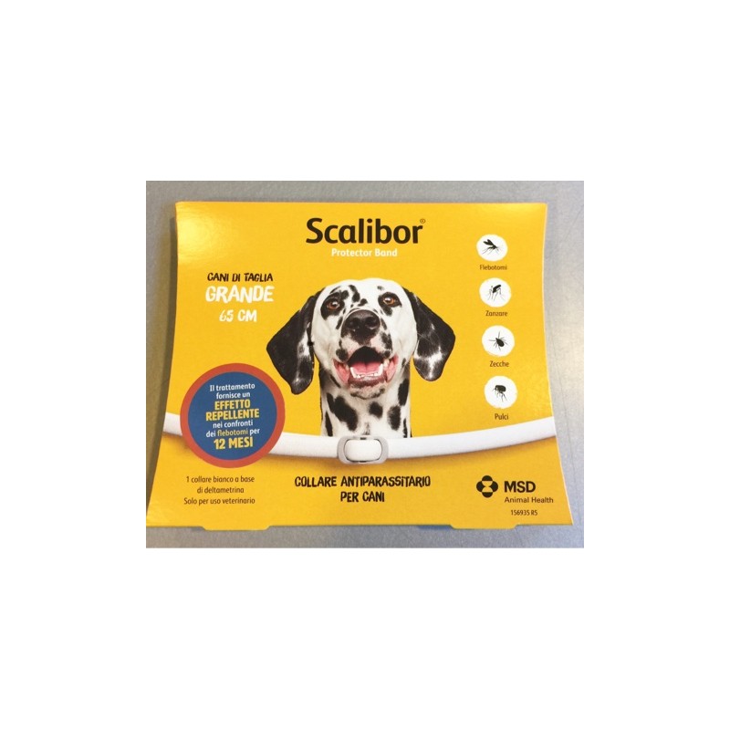 SCALIBOR TAGLIA GRANDE 