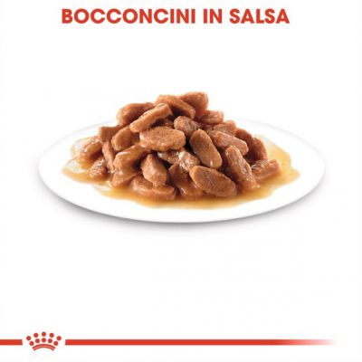 Royal canin cat bustina 85g jelly kitten instincti