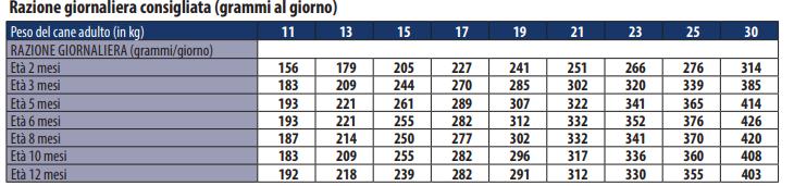 MONGE PUPPY MEDIUM POLLO