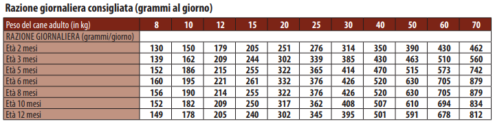 MONGE 12KG PUPPY MEDIUM AGNELLO 
