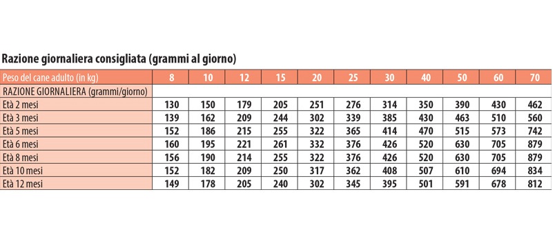 MONGE 12KG PUPPY MEDIUM SALMONE 