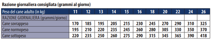 MONGE SENIOR MEDIUM POLLO