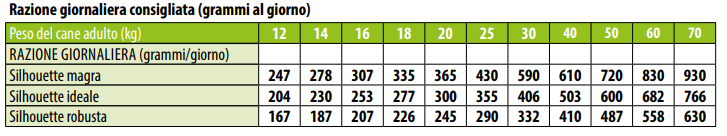 MONGE BWILD LOW GRAIN CINGHIALE