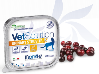 MONGE VET SOLUTION GATTO VASCHETTA 100G URINARY ST