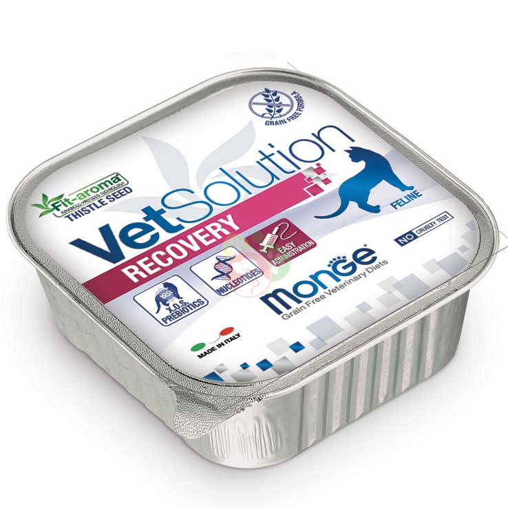 Monge vet solution gatto vaschetta 100g recovery