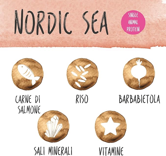 ALDOG MEDIUM NORDIC SEA