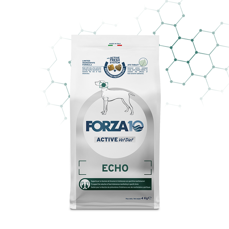 FORZA10 ACTIVE ECHO