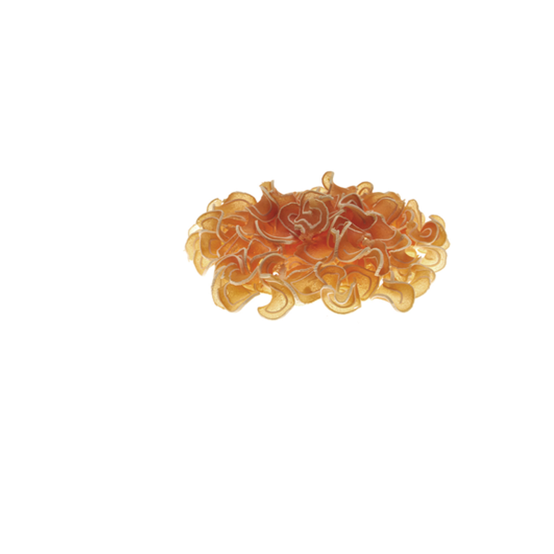 Flair pet snack 90g riccioli pollo