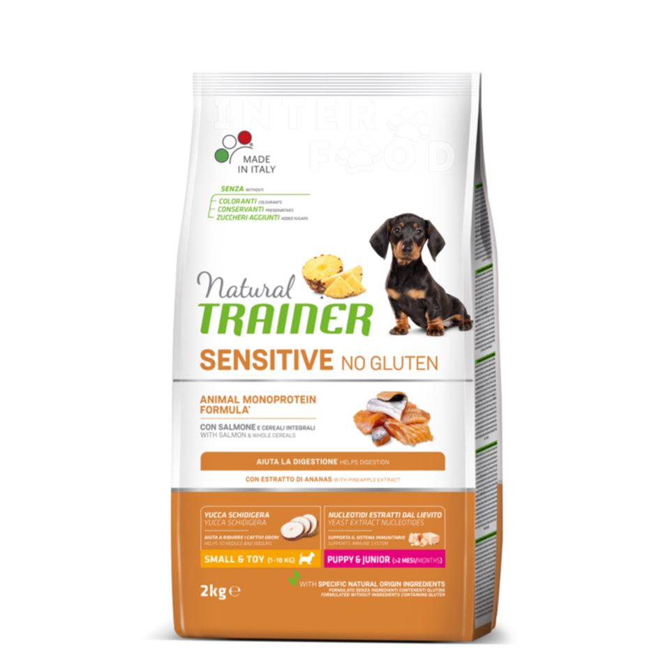 NATURAL TRAINER SENSITIVE PUPPY SM SALMON
