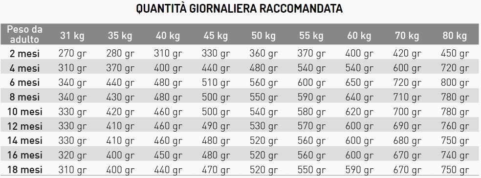 EXCLUSION MEDITERRANEO 12KG PUPPY LARGE POLLO