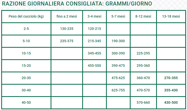 OASY PUPPYJUNIOR SALMONE