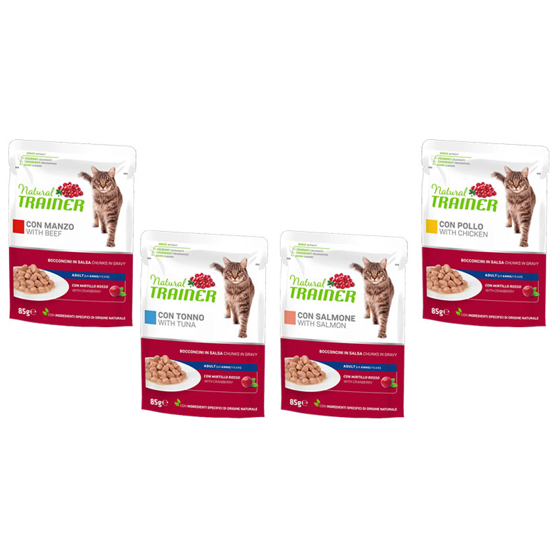 Trainer Cat Multipack 4X85G Adult