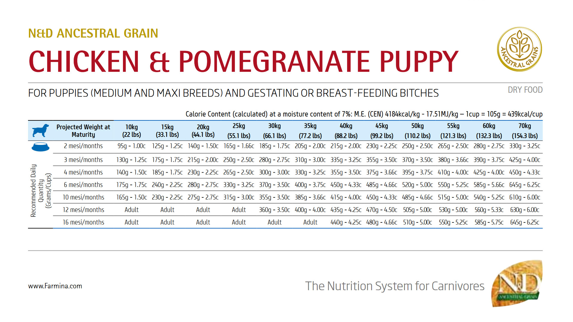 FARMINA ND PUMPKIN PUPPY POLLO