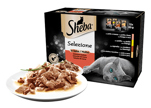 SHEBA BUSTINA 12X85G