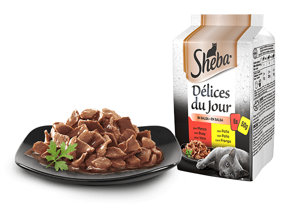 SHEBA DELICES DU JOUR 6X50G