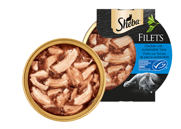 SHEBA FILETS 60G